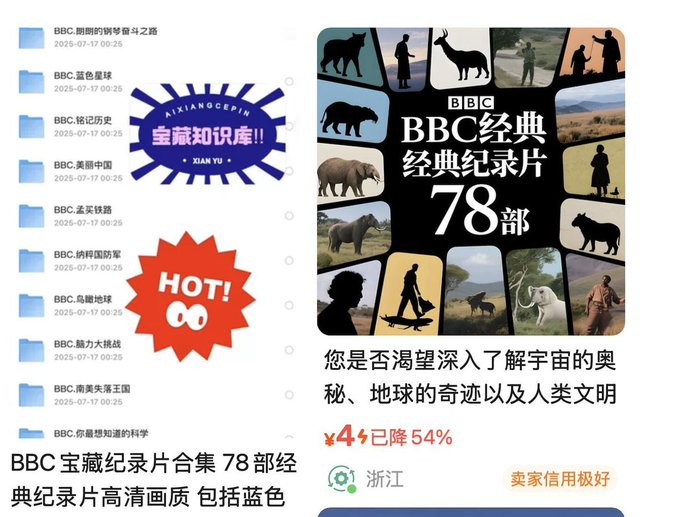 一套纪录片赚了20万! 宝妈的钱也太好赚了