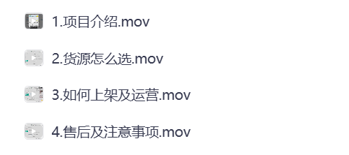 《闲鱼电商月入过万玩法》 系统掌握卖货策略